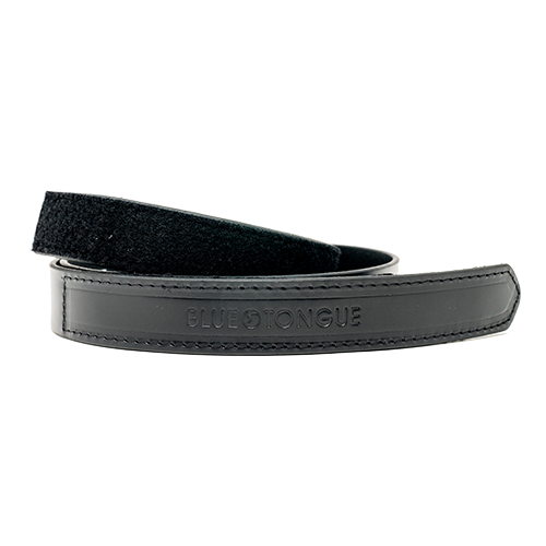 Apparel & Accessories